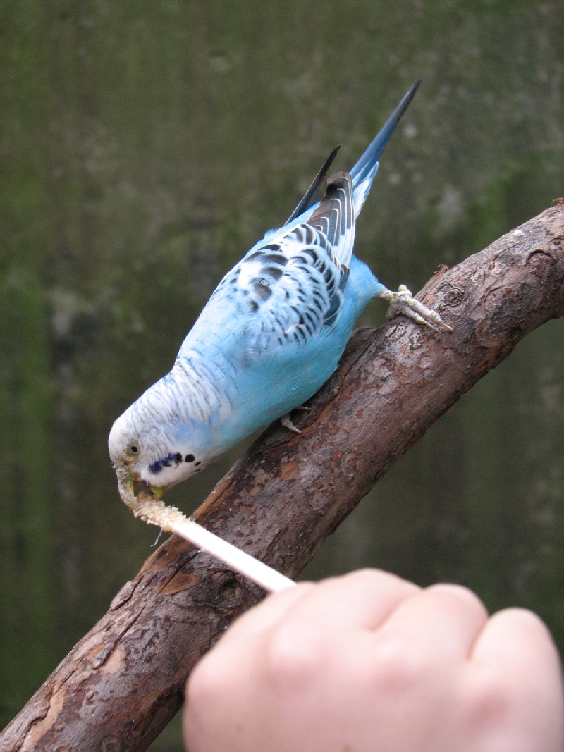 20100206 501.JPG